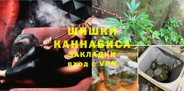 шишки Лиски