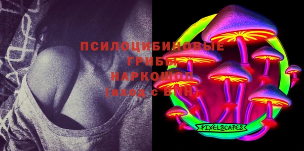 шишки Лиски
