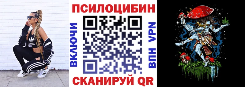 Псилоцибиновые грибы мицелий  Купить закладки  Ижевск 